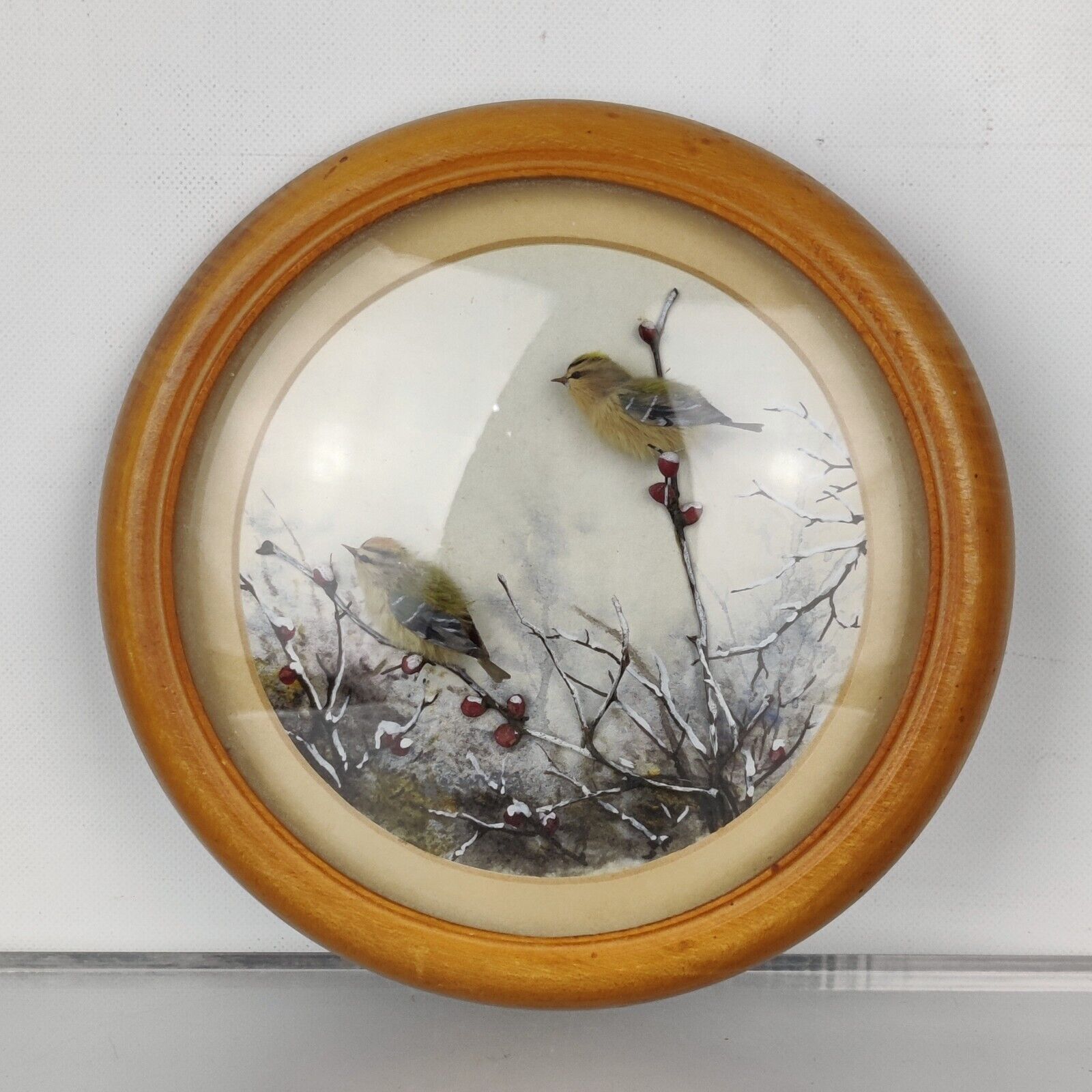 Firecrests (Version 3) (5-inch)
